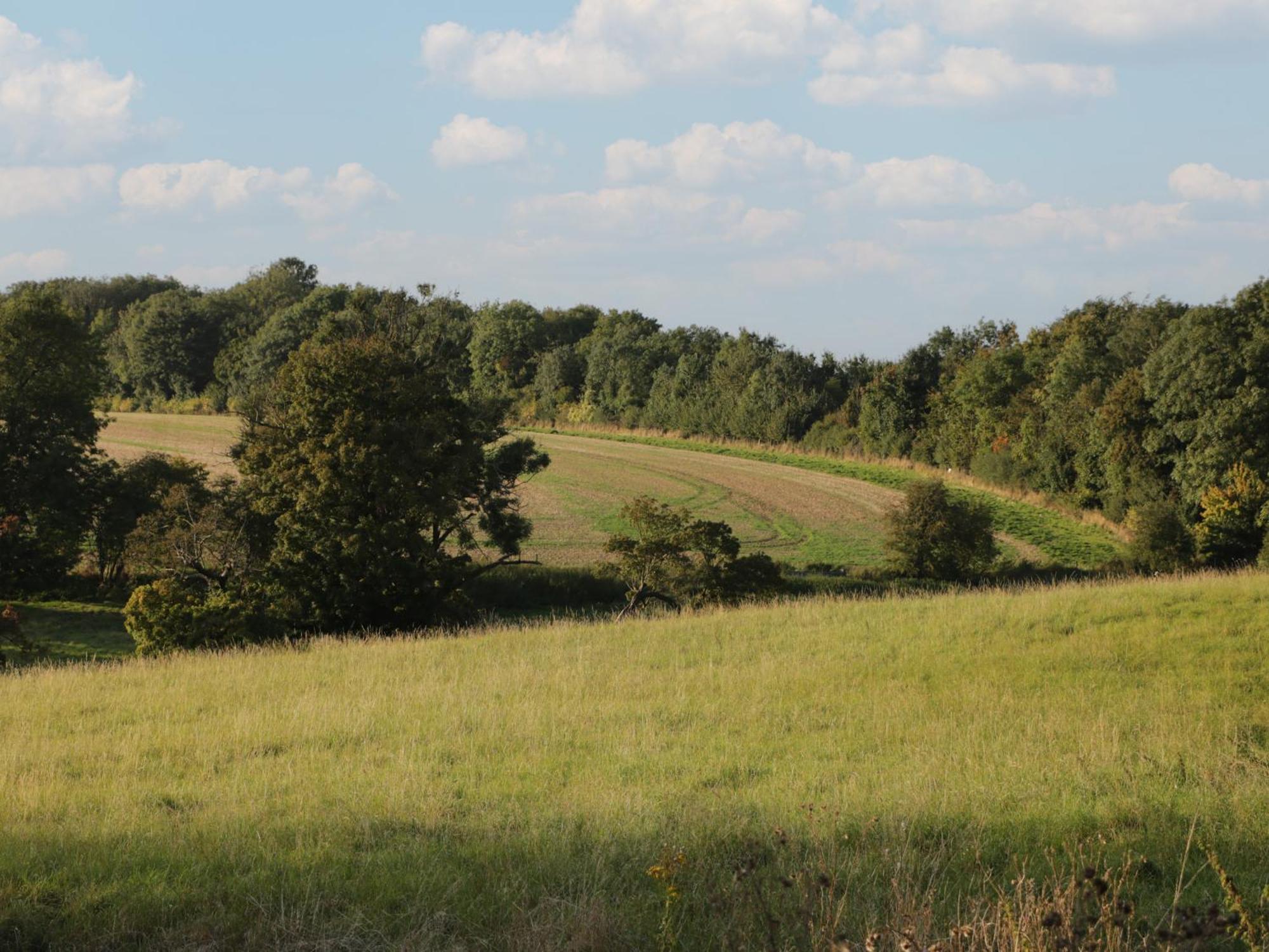 Hazel Villa Cirencester Kültér fotó